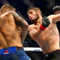 2020 년 스포츠 토너먼트