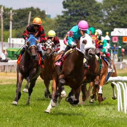 Massachusetts Regulators Face Decisions on Casino and Horse Racing Requests