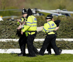 Activists Disrupt Grand National Horse Race