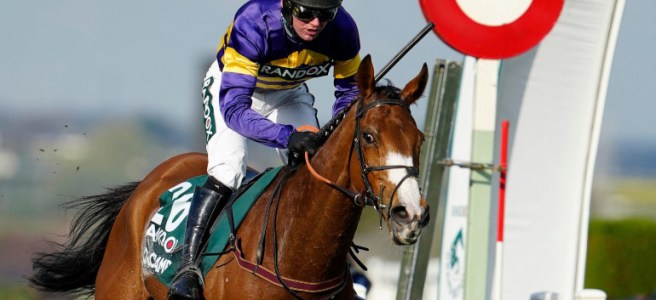 Activists Disrupt Grand National Horse Race